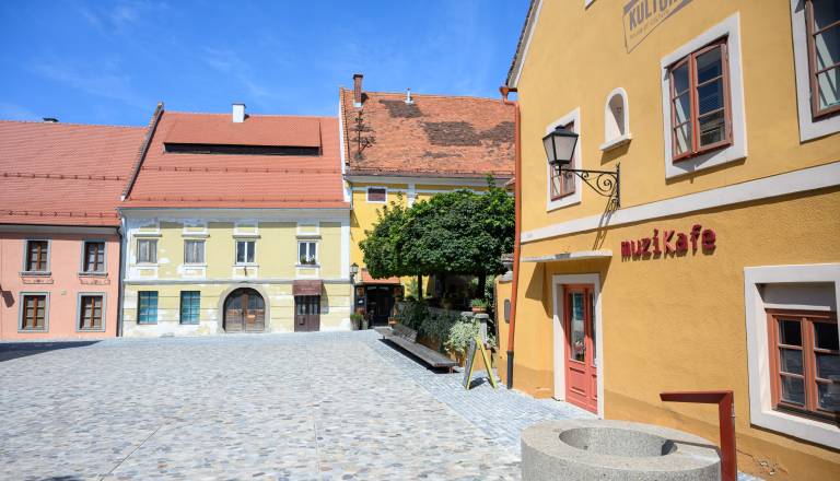 Na Ptuj prihajajo pesniki iz desetih držav, pripravljajo 37 brezplačnih dogodkov