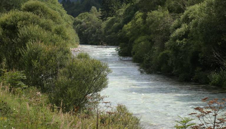 V Savi našli trupli dveh pogrešanih tujcev, iskanje tretje osebe se nadaljuje