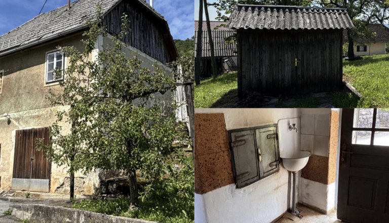 FOTO: Hišo na Dolenjskem lahko dobite že za 34 tisočakov, z njo pa tudi edinstveno izkušnjo WC-ja na »štrbunk«