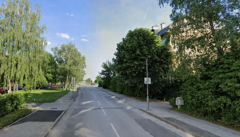 Težave pri blokih na CMD: Nevarno drevo, luknje in zamašeni jaški. Javne službe Ptuj pojasnjujejo ...
