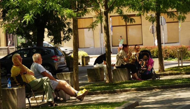 Mariborska dvorišča pod drobnogledom, zaradi zelenja kar tri stopinje manj