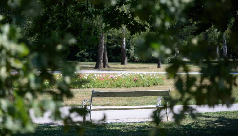 Mariborski mestni park pred veliko preobrazbo: Prihaja 30 historičnih klopi in tisoče novih rastlin