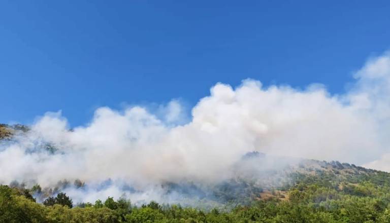 Na Krasu izbruhnil obsežen požar, posreduje okoli sto gasilcev
