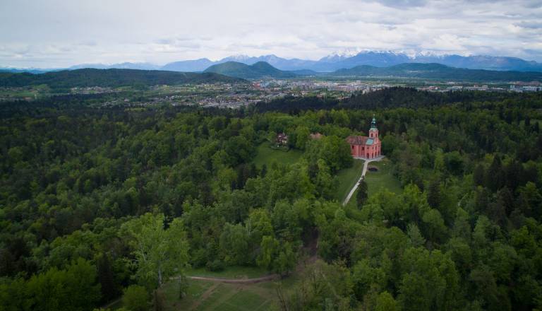 Pritožbe zaradi dogajanja na Rožniku, zato bo občina tja poslala inšpekcijo