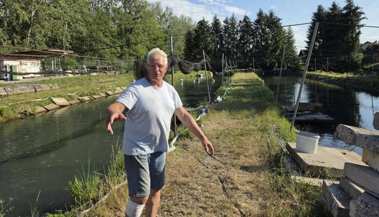 Po poginu rib pretreseni Dušan Hrga: »Prihodnost ribogojnice je negotova, ostali smo brez vsega«