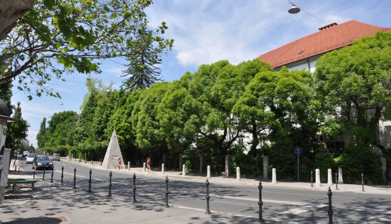 Med koncertom mimo Križank? Po Zoisovi cesti vozijo le ti avtobusi