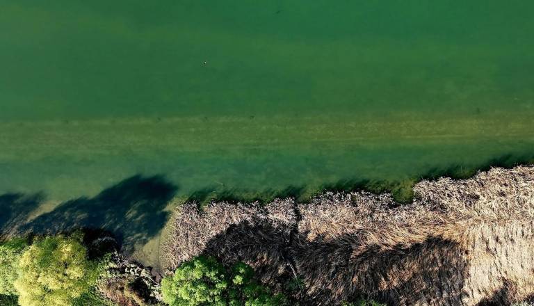 Drava razkrila skrivnost, ki je večino časa skrita pod gladino