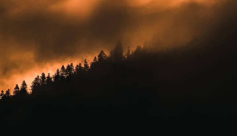 V nekaj urah v Istri izbruhnilo kar sedem požarov, na pomoč poslali kanaderje