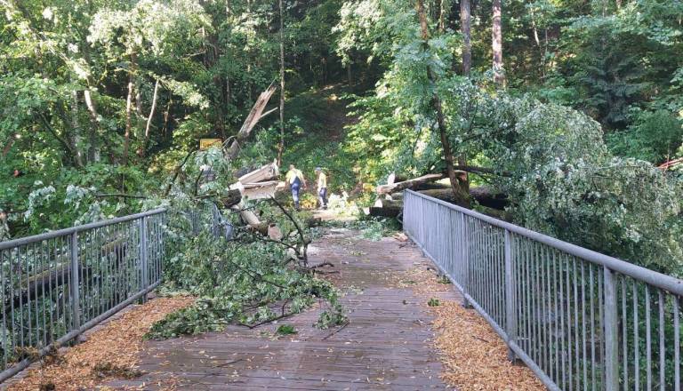 Na Kokrici po štirih letih sanirajo posledice poplav, prihodnje leto še nov most