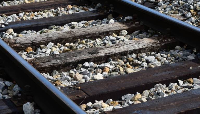 Okoljevarstveniki opozarjajo na možno nevarnost kreozota tik ob stanovanjih v Črnučah