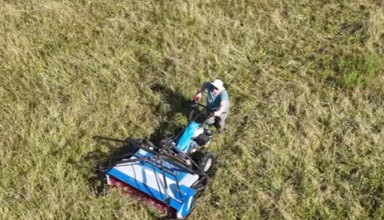 VIDEO: Na Goričkem poželi semensko mešanico, zbrana semena bodo uporabili za obnovo
