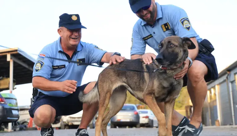 Po pretresljivem posnetku končno dobra novica: Pes s Pašmana dobil nov dom
