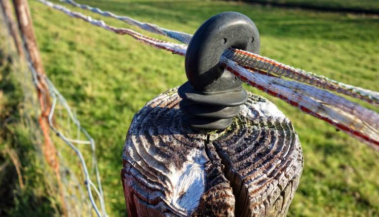 Kmetu prekipelo: Na Goričkem naj bi mu že drugič prerezali električnega pastirja