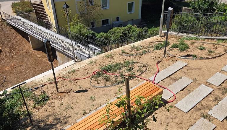 V Metliki nastaja nekaj novega, nad projektom ne bodo navdušeni le alergiki