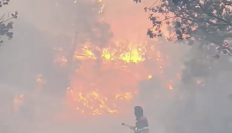VIDEO: »Situacija je zelo resna,« na Pelješcu izbruhnil velik požar, ogenj se hitro širi