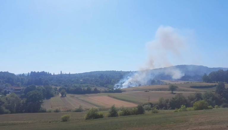 V romskem naselju Žabjak gorelo: Hektar površine izginil, kot bi mignil