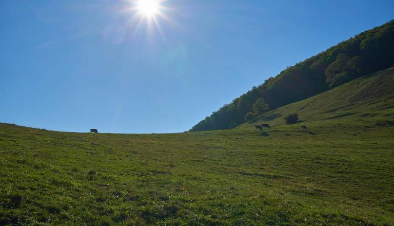 Pred nami še en vroč konec tedna, v ponedeljek sprememba vremena