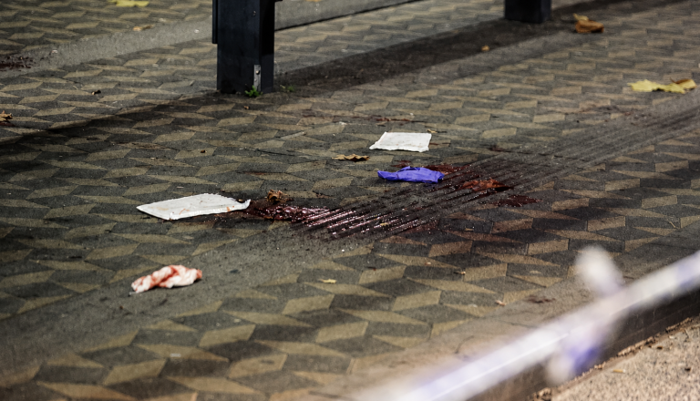Napada na voznika LPP na Bavarcu, ki je pretresel Ljubljano, dobil epilog. Kakšna kazen za storilca?