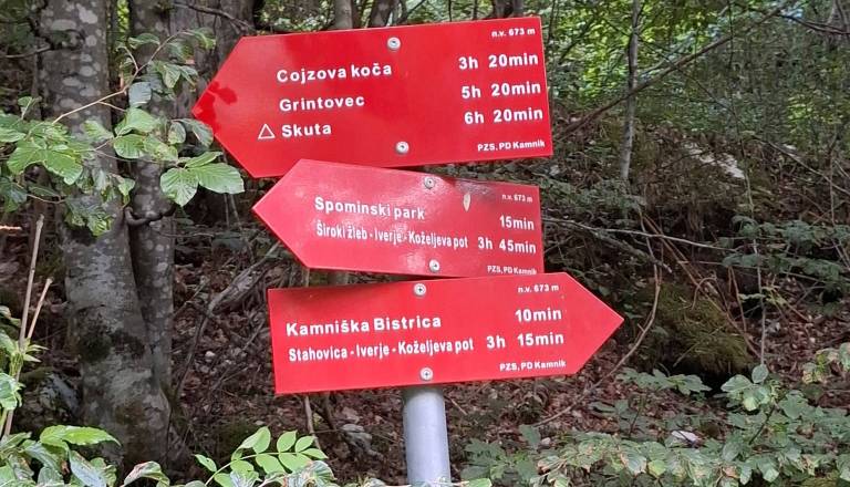 Šel je na Grintovec, ob vrnitvi pa šok: pod brisalcem ga je čakalo 1.000 evrov globe