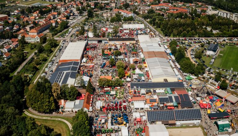Pet dni, ki privabijo na tisoče obiskovalcev: Alžirski datlji, vrhunska vina in velikanski park mehanizacije