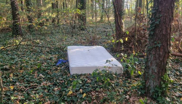 Namesto na zbirno mesto v naravo, v gozdu pristal celo jogi