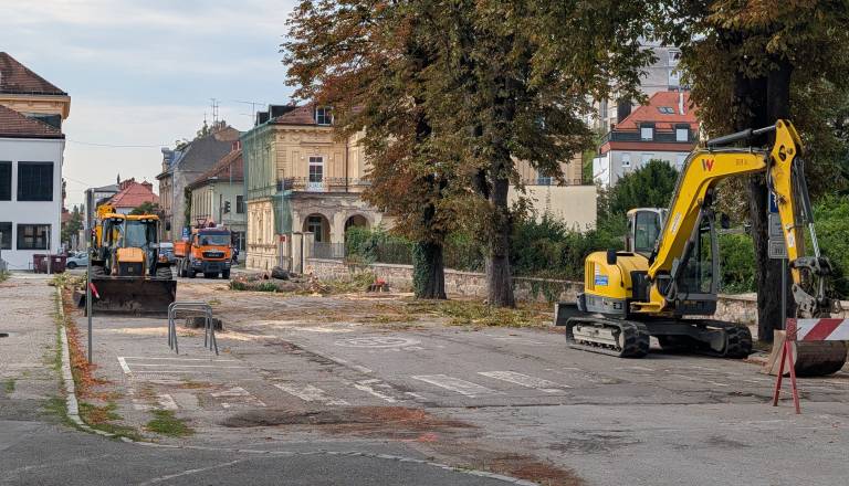 FOTO in VIDEO: Na Trubarjevi ulici padel mogočni kostanjev drevored, Mariborčani zgroženi