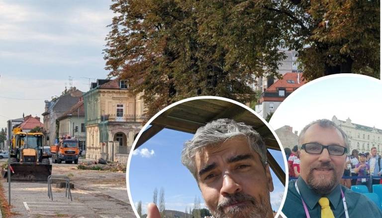Jurišič ostro o poseku drevoreda, Greiner zahteva pojasnila: »Ljudje ne morejo zvedeti, da bo cel drevored izginil, takrat ko pride stroj«