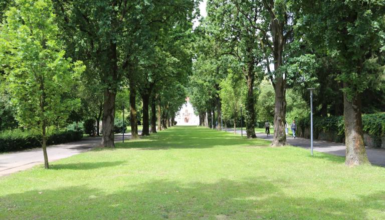 Pomgradu še en milijonski posel v Murski Soboti, stroji v parku naj bi zabrneli že septembra