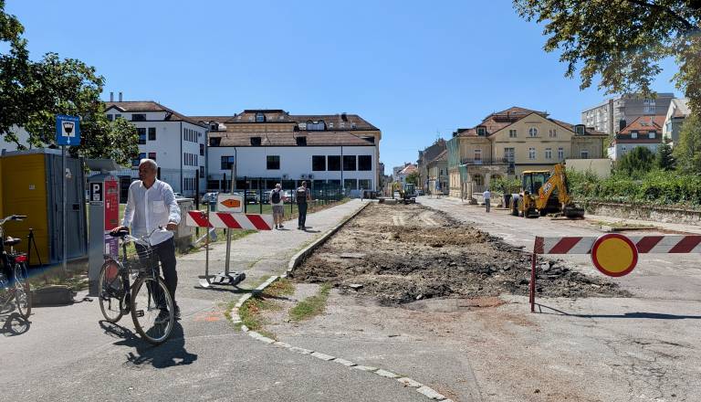 FOTO in VIDEO: Arsenovič po poseku kostanjev: »Niti jaz nisem tega točno vedel, kako bo«