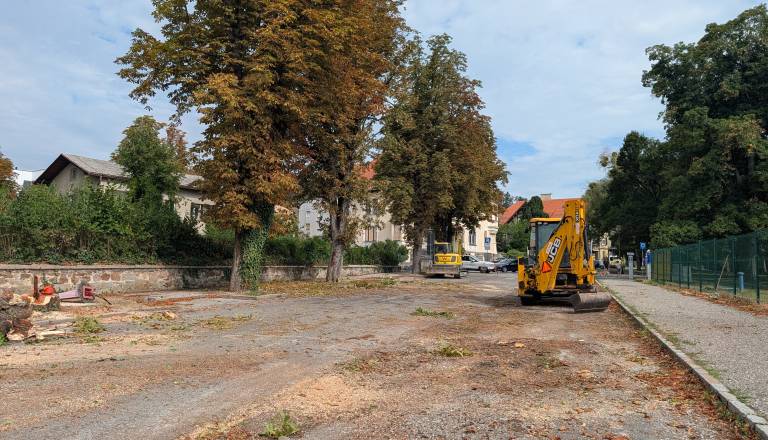 Nekdanja tesna sodelavka Arsenoviča obračunala z njim zaradi padlih kostanjev: »Slabo mi je od te ostudnosti, arogance, napuha ... «