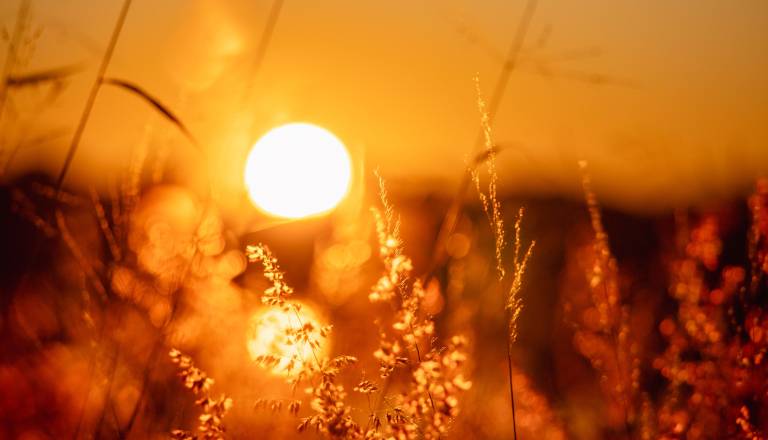 Temperature bodo poskočile do 36 stopinj, v gorah ni izključena kakšna nevihta