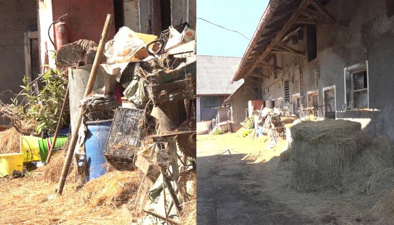 FOTO: To so prizori s kmetije groze, kjer je poginilo pet govedi