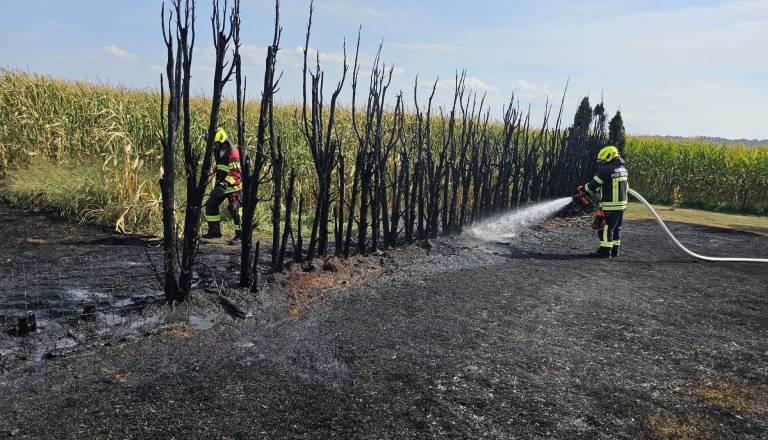 FOTO: Kurjenje vejevja in trave ušlo izpod nadzora, eno osebo zaradi hudih opeklin odpeljali v UKC Maribor