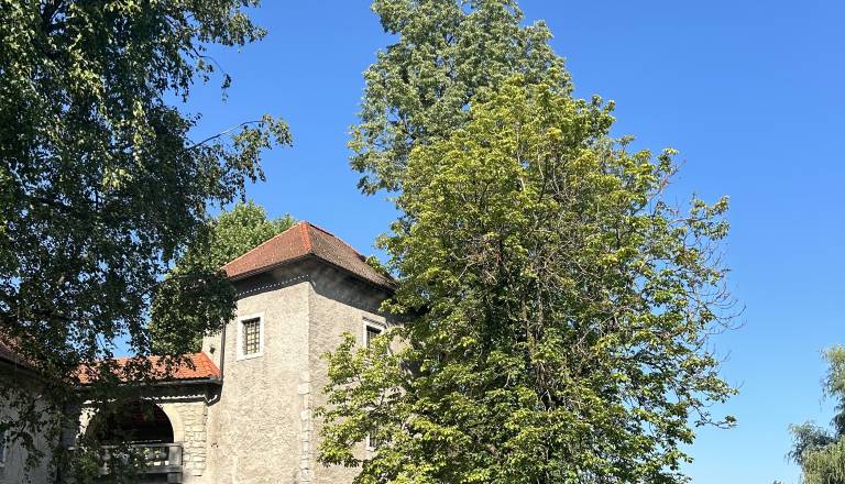 Iz Ribnice v Ljubljano in nazaj? Mladi o razlogih za odhod in vrnitev