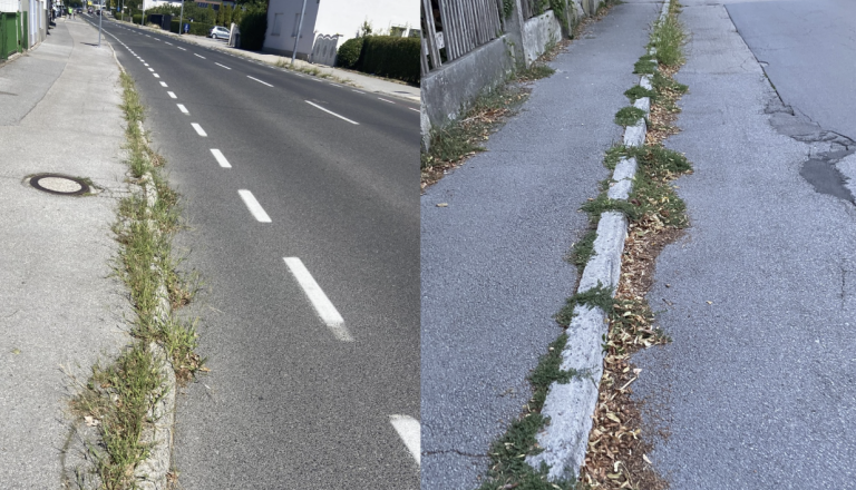FOTO: Bralec opozarja na razmere v Kosezah: »Je to sploh še cesta?«