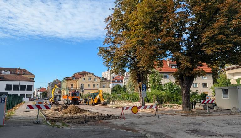 Po poseku kostanjev na Trubarjevi vre: Mariborčani napovedali shod v bran drevesom