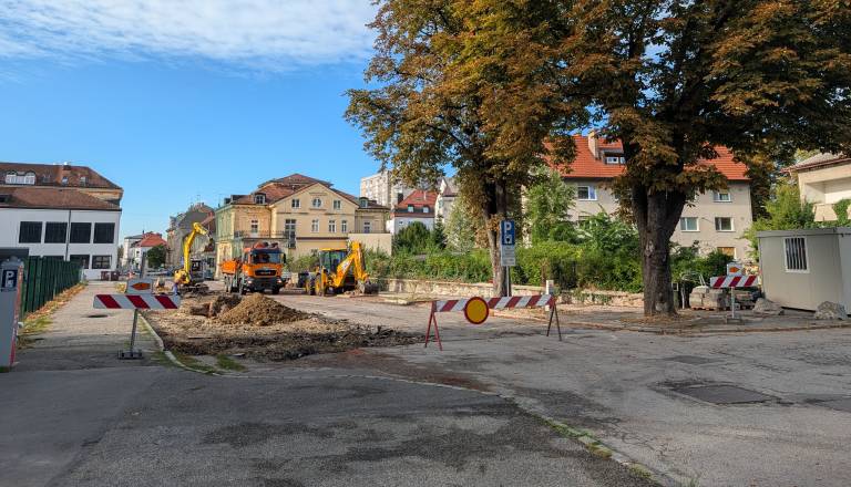 Po poseku kostanjev na Trubarjevi vre: Mariborčani napovedali shod v bran drevesom