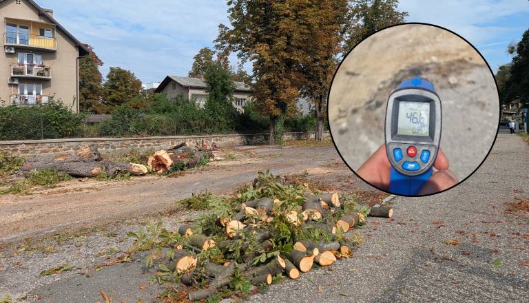 Po poseku na Trubarjevi izmerili 46,6 stopinje: Poglejte, koliko je bilo v senci dreves