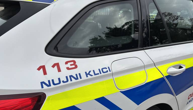 Pogrešajo mladoletno Alino: ste jo kje opazili?