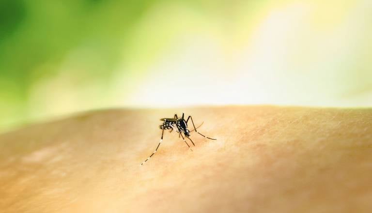 Nevaren virus se širi po Evropi, že več mrtvih