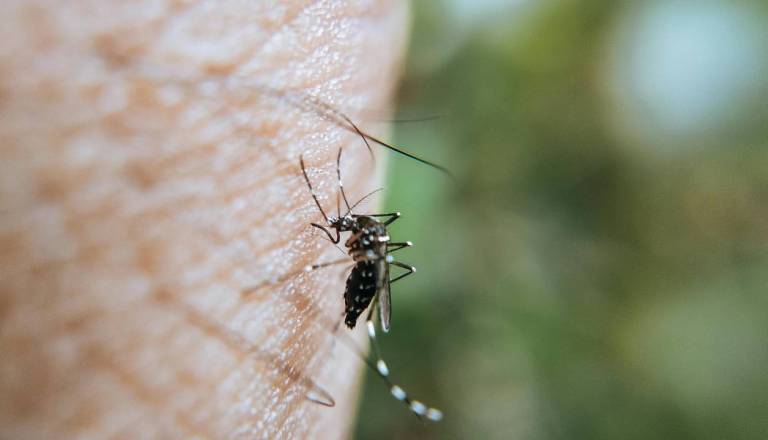 Smrtno nevaren virus vse bližje Sloveniji, okuženi že tudi na Hrvaškem