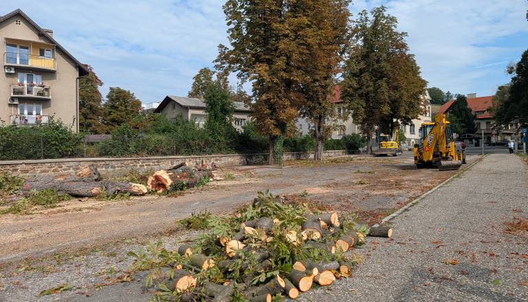 Po poseku kostanjev ostre zahteve civilne iniciative: »Občina je v naši, ne mi v njeni službi«