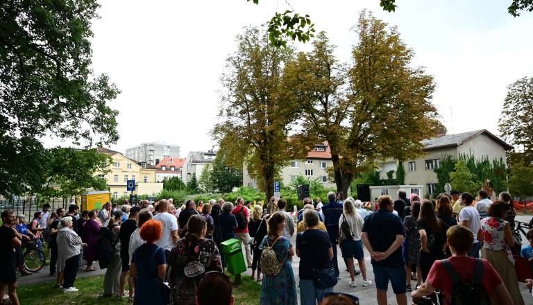 FOTO: V Mariboru danes shod v bran drevesom: Posek je bil preuranjena in nepremišljena poteza