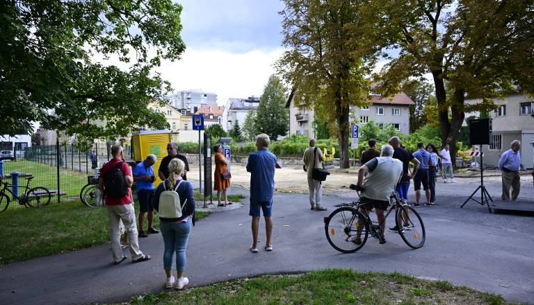 FOTO in VIDEO: V Mariboru danes shod v bran drevesom: Posek je bil preuranjena in nepremišljena poteza