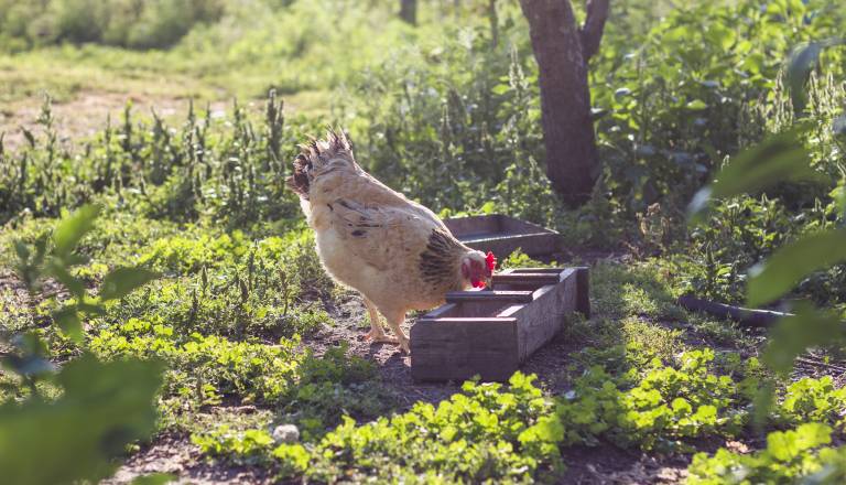 VIDEO: To na kmetiji pogosto spregledamo, a lahko odloča o pridelku