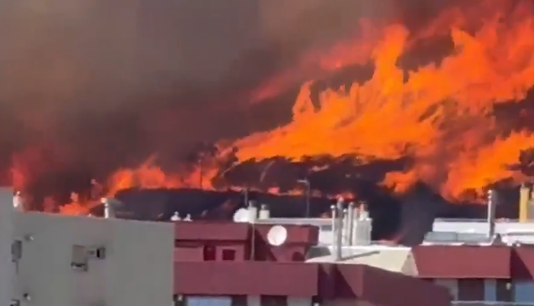 VIDEO: Na obrobju Barcelone divja požar, oblasti evakuirale prebivalce