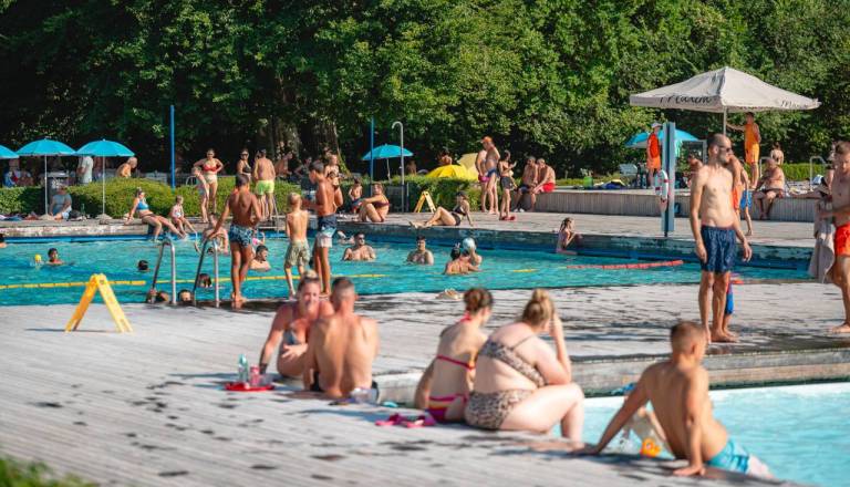 Kačji otok sredi Maribora? Tako bi se skoraj imenoval priljubljen poletni kotiček