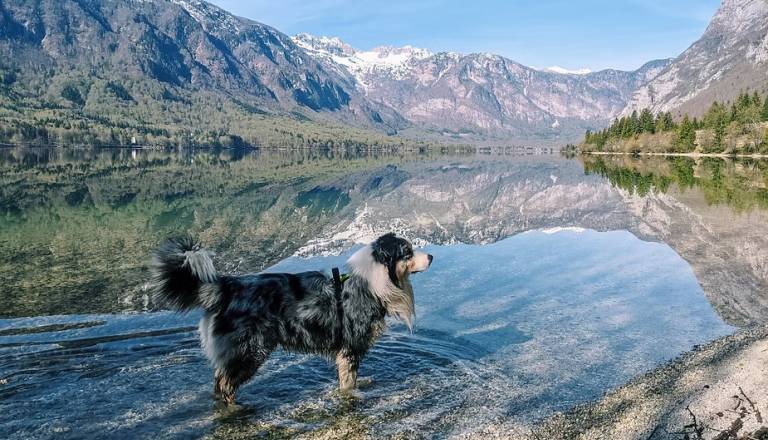 Po poginu mladička pri Jasni opozarjajo: »Tudi tekoče vode niso več varne«