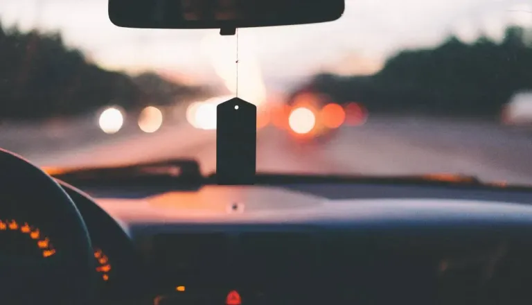 Voznik ignoriral policiste, ko so ga končno ujeli, je sledilo to
