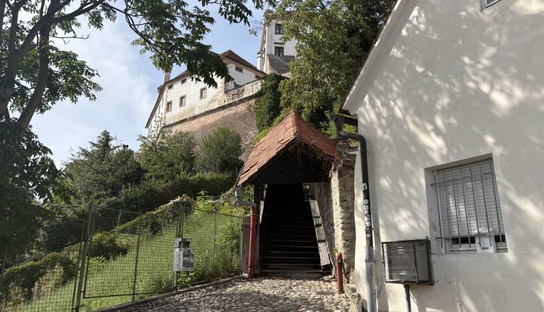 Pot s Ptujskega gradu v temi. Kakšna bo rešitev, odporna tudi na vandalizem?